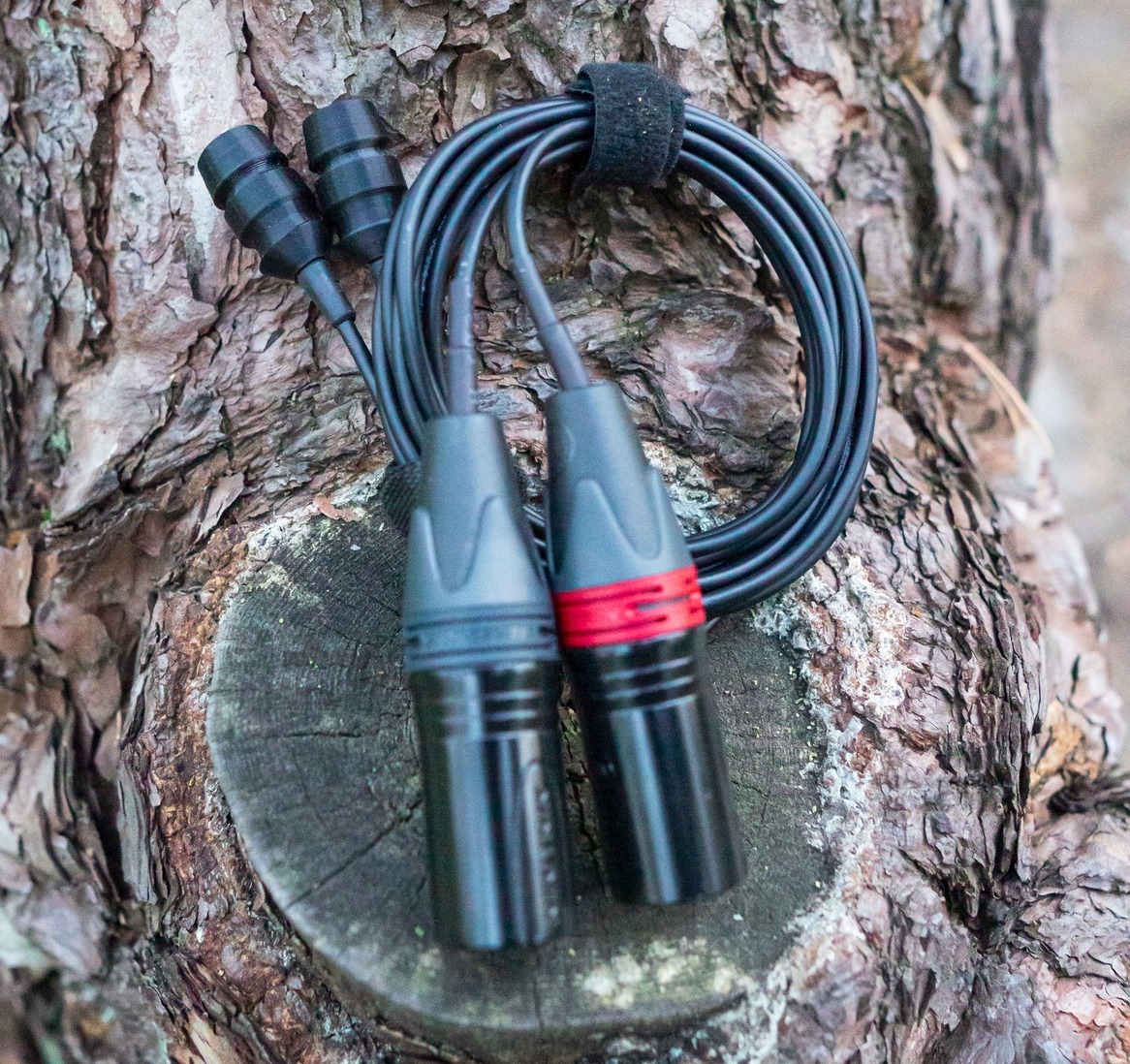 Tender Microphones Barrel One The best cheap and small microphones for field recordings 2025