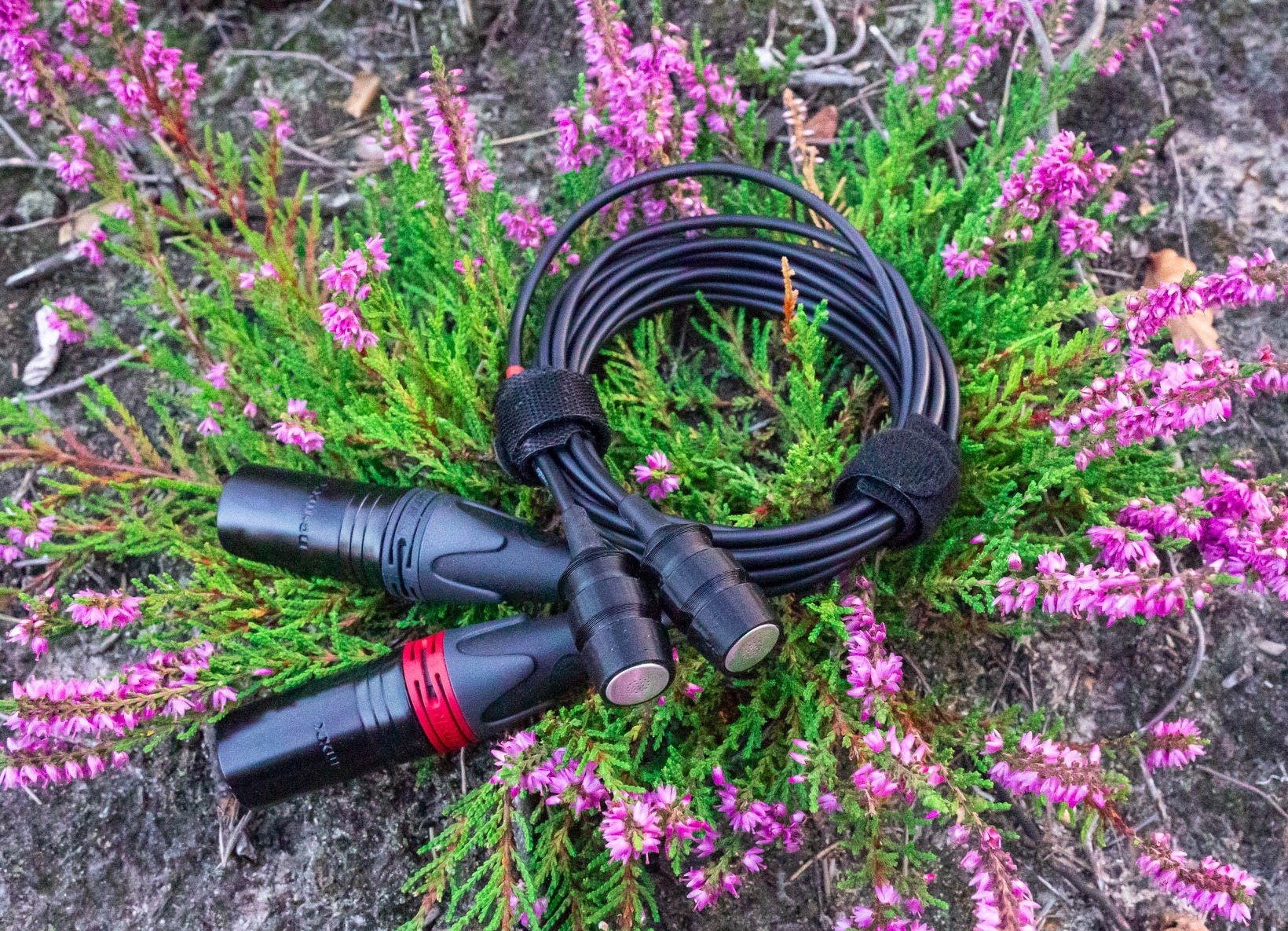 Tender Microphones Barrel One The best cheap and small microphones for field recordings 2025